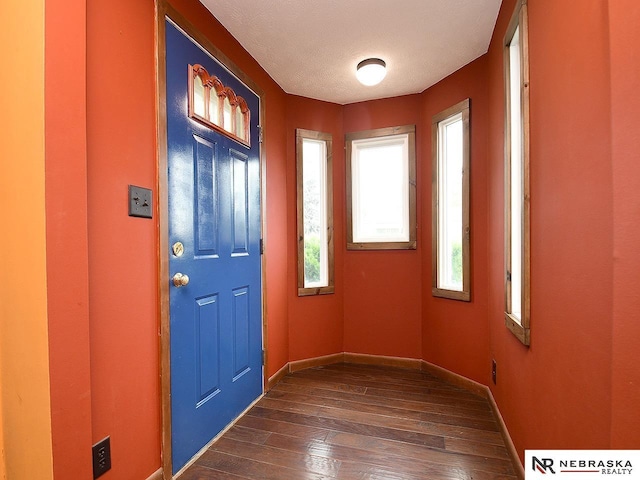 7626 S 41st St, Bellevue, NE 68147 - foyer entrance featuring baseboards and dark wood finished floors