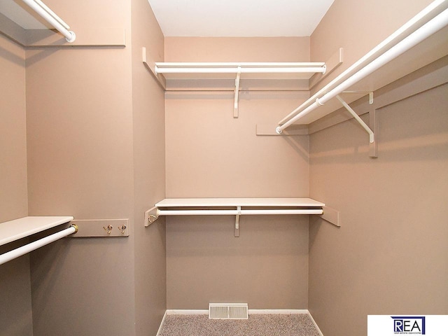1312 N 148th Plz, Omaha, NE 68154 - spacious closet featuring carpet flooring