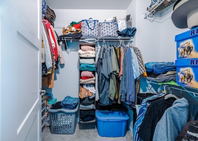 7794 N 88th St, Omaha, NE 68122 - spacious closet featuring carpet floors
