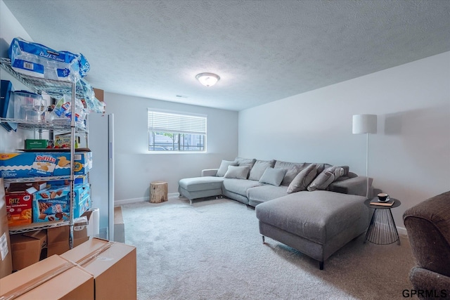 7794 N 88th St, Omaha, NE 68122 - carpeted living room with baseboards and a textured ceiling