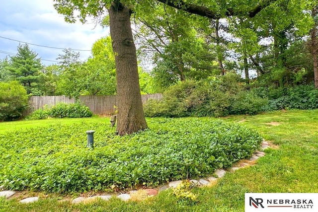 437 S 90th St, Omaha, NE 68114 - view of yard