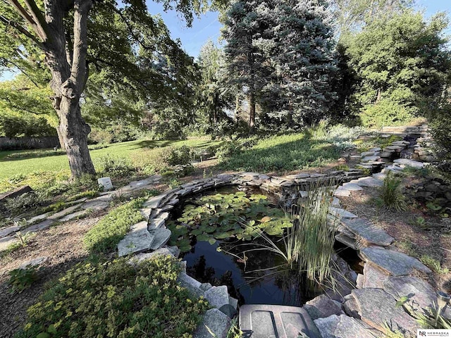 437 S 90th St, Omaha, NE 68114 - view of green lawn with a garden pond