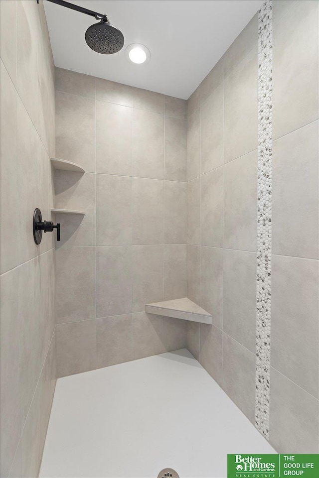 5721 N 197th Ave, Omaha, NE 68022 - bathroom with a tile shower