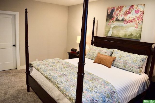 5445 Kestrel Pkwy, Omaha, NE 68022 - bedroom featuring carpet floors
