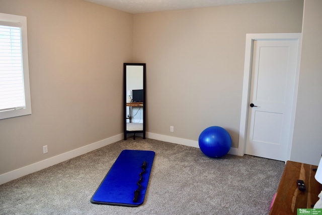 5445 Kestrel Pkwy, Omaha, NE 68022 - exercise area featuring carpet flooring and baseboards