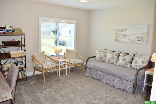 5445 Kestrel Pkwy, Omaha, NE 68022 - bedroom featuring carpet