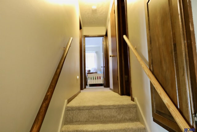 1365 N Chestnut St, Wahoo, NE 68066 - stairway featuring carpet