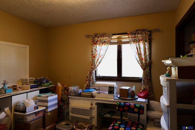 1365 N Chestnut St, Wahoo, NE 68066 - office space with a textured ceiling