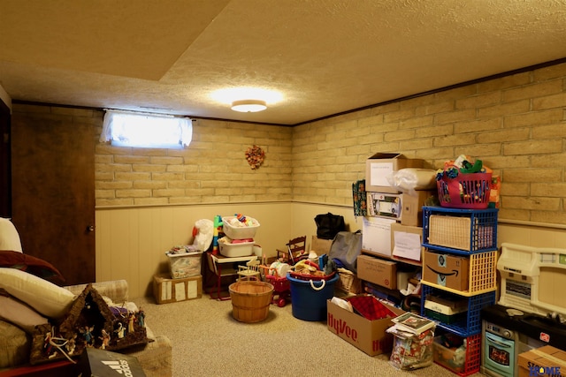 1365 N Chestnut St, Wahoo, NE 68066 - below grade area featuring a textured ceiling, wainscoting, and carpet flooring
