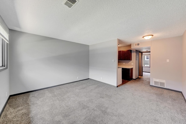 1207 B St, Lincoln, NE 68502 - unfurnished living room with healthy amount of natural light, light colored carpet, and a textured ceiling