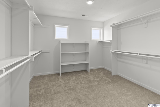 20976 Ogden St, Elkhorn, NE 68022 - spacious closet with carpet