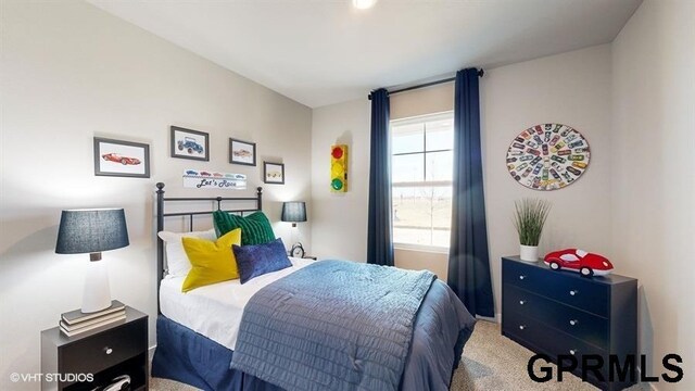 11470 Port Royal Dr, Papillion, NE 68046 - view of carpeted bedroom