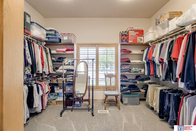 223 N Lakeview Way, Ashland, NE 68003 - spacious closet with carpet flooring