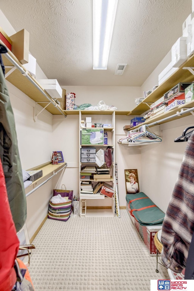 223 N Lakeview Way, Ashland, NE 68003 - spacious closet featuring carpet floors