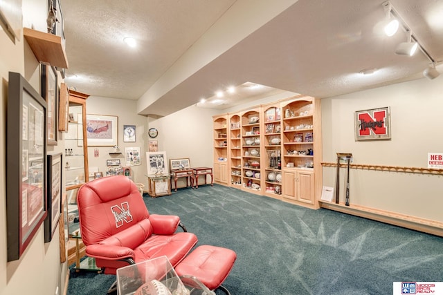 223 N Lakeview Way, Ashland, NE 68003 - sitting room with a textured ceiling, dark carpet, and track lighting