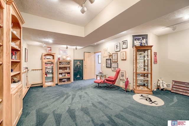 223 N Lakeview Way, Ashland, NE 68003 - living area with rail lighting, a textured ceiling, and carpet flooring