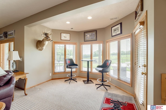 223 N Lakeview Way, Ashland, NE 68003 - living area with carpet floors, plenty of natural light, and recessed lighting