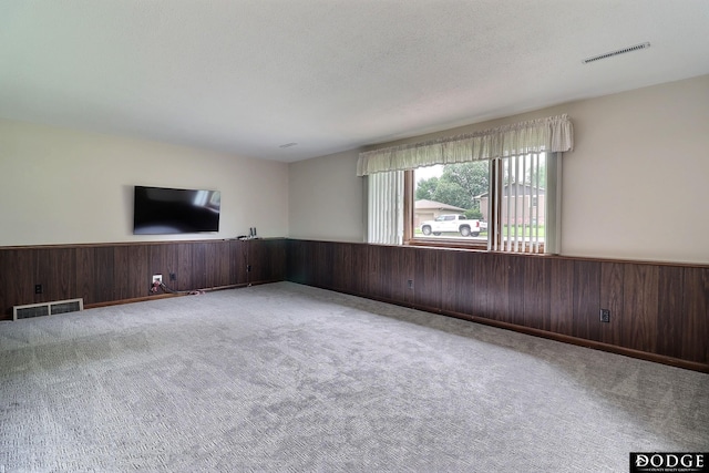 2204 Bramblewood Ln, Fremont, NE 68025 - empty room with carpet flooring, wainscoting, and wood walls