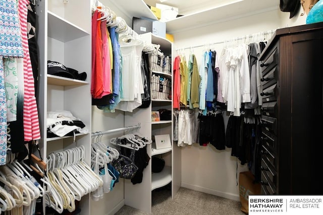 10818 S 109th St, Papillion, NE 68046 - walk in closet with carpet flooring