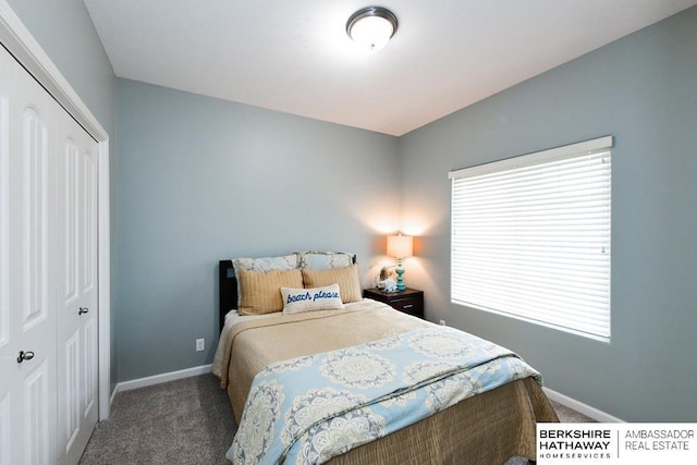 10818 S 109th St, Papillion, NE 68046 - carpeted bedroom with a closet and multiple windows