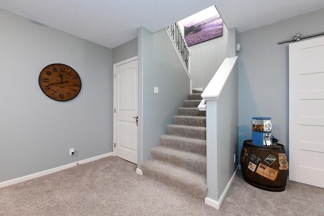 10818 S 109th St, Papillion, NE 68046 - staircase featuring carpet and baseboards