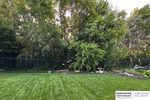 10818 S 109th St, Papillion, NE 68046 - view of yard