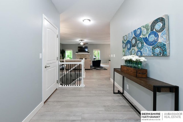 10818 S 109th St, Papillion, NE 68046 - hall with light wood finished floors and baseboards