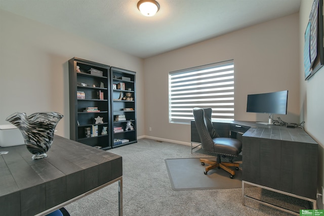 5017 N 209th St, Elkhorn, NE 68022 - office space featuring carpet floors and baseboards