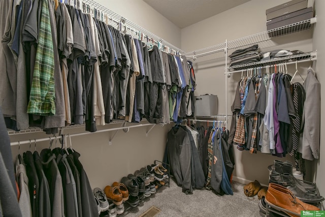 5017 N 209th St, Elkhorn, NE 68022 - walk in closet with carpet