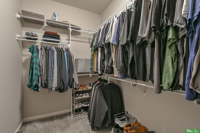 5017 N 209th St, Elkhorn, NE 68022 - walk in closet featuring carpet floors