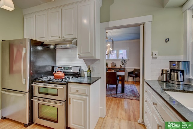 526 S 51st Ave, Omaha, NE 68132 - kitchen with stainless steel appliances, under cabinet range hood, and light wood-style floors
