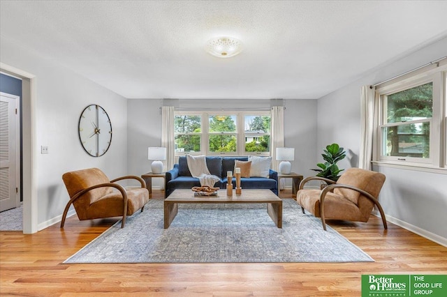 12079 Westover Rd, Omaha, NE 68154 - living room with wood finished floors and a textured ceiling