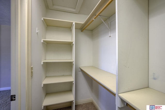1215 Turtle Creek Rd, Lincoln, NE 68521 - walk in closet with carpet flooring