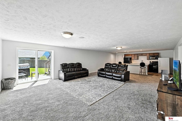 20459 C St, Omaha, NE 68022 - living room with carpet floors and a textured ceiling