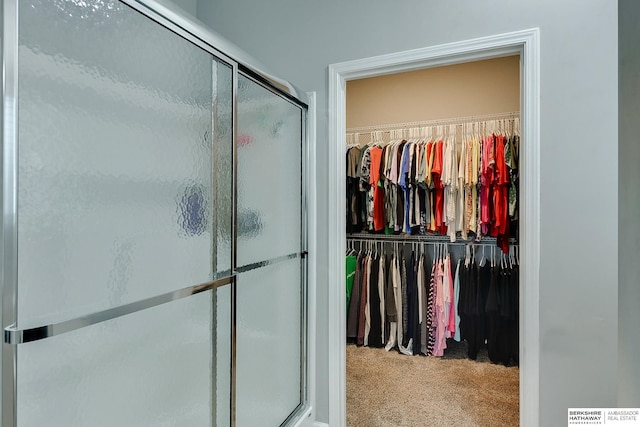 14562 Potter Cir, Bennington, NE 68007 - full bathroom featuring a shower stall and a spacious closet