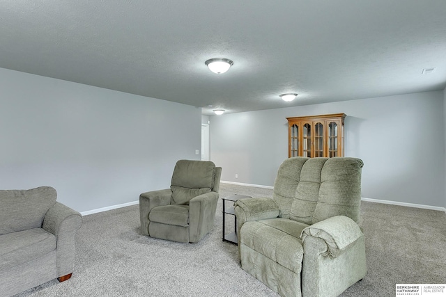 14562 Potter Cir, Bennington, NE 68007 - living area with carpet flooring and a textured ceiling