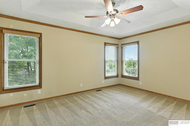 1422 N 155th Ave, Omaha, NE 68154 - unfurnished room featuring light carpet, ceiling fan, a textured ceiling, a raised ceiling, and ornamental molding