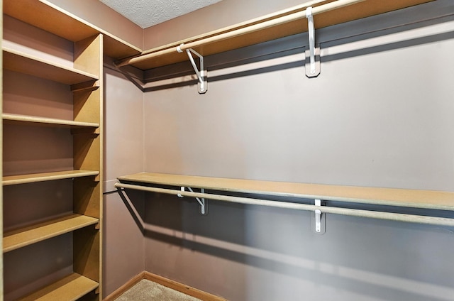 1422 N 155th Ave, Omaha, NE 68154 - walk in closet featuring carpet floors