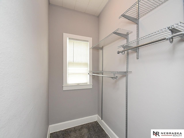 95 S Irving St, Fremont, NE 68025 - walk in closet with carpet floors