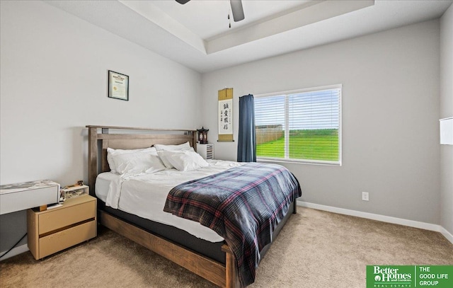 13512 S 55th St, Papillion, NE 68133 - carpeted bedroom with a tray ceiling and a ceiling fan