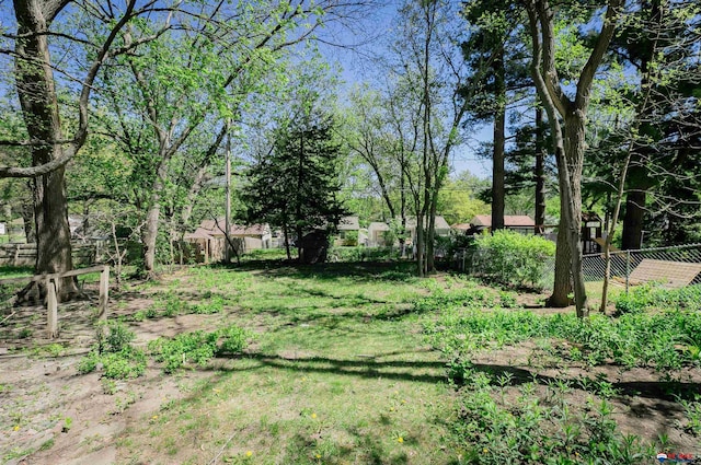 3018 S 42nd St, Lincoln, NE 68506 - view of yard