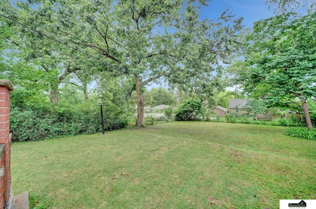 2340 S 36th St, Lincoln, NE 68506 - view of yard
