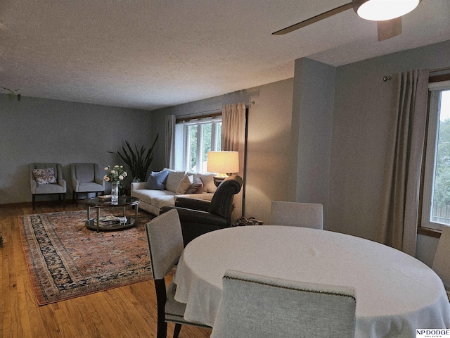 11821 Shirley St, Omaha, NE 68144 - living area with wood finished floors, a ceiling fan, and a textured ceiling