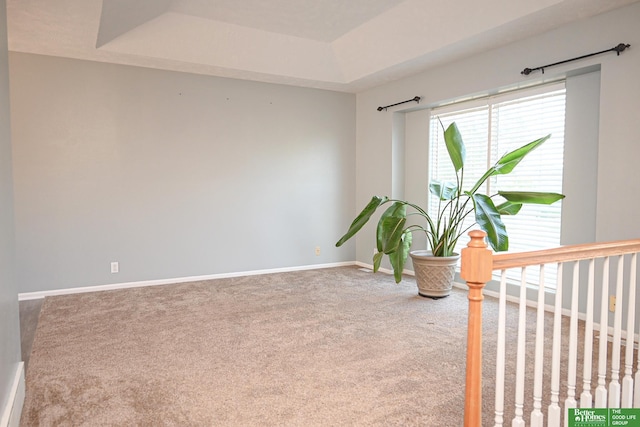 2412 Lewis And Clark Rd, Bellevue, NE 68123 - carpeted empty room with a raised ceiling and baseboards