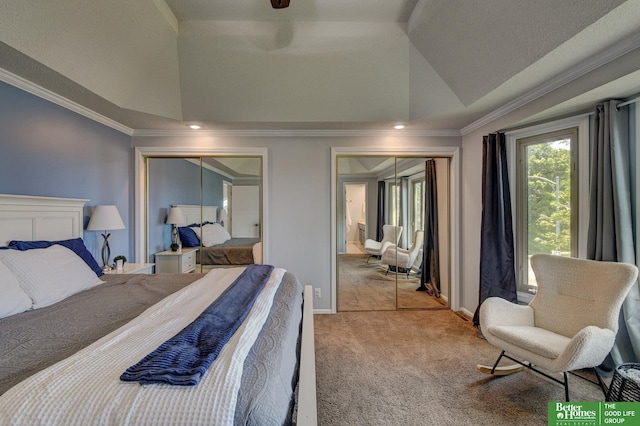 15003 California Cir, Omaha, NE 68154 - carpeted bedroom with multiple closets, ornamental molding, and lofted ceiling
