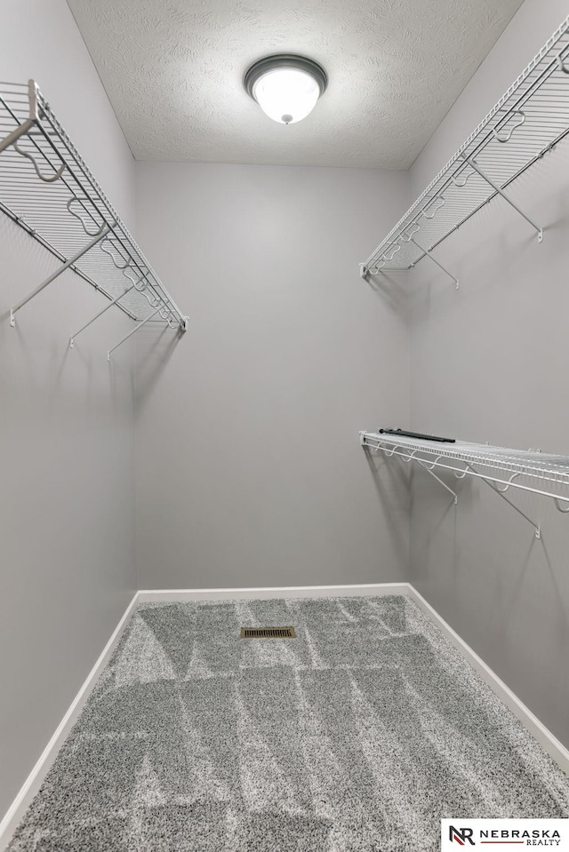 8023 S 193rd St, Gretna, NE 68028 - spacious closet featuring carpet