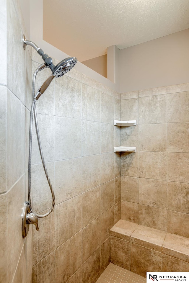8023 S 193rd St, Gretna, NE 68028 - full bath with a tile shower