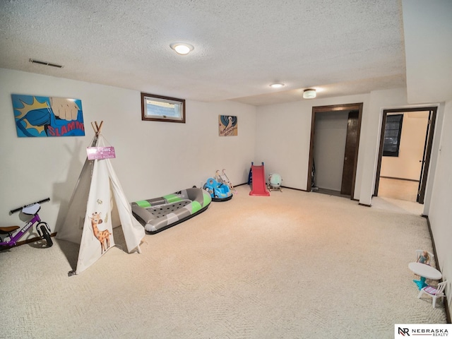7533 Sherman St, Lincoln, NE 68506 - rec room featuring carpet flooring and a textured ceiling