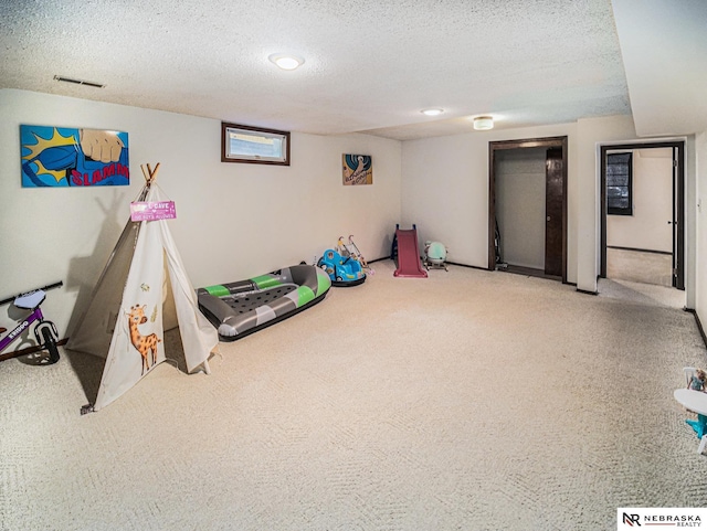 7533 Sherman St, Lincoln, NE 68506 - rec room with a textured ceiling and carpet flooring