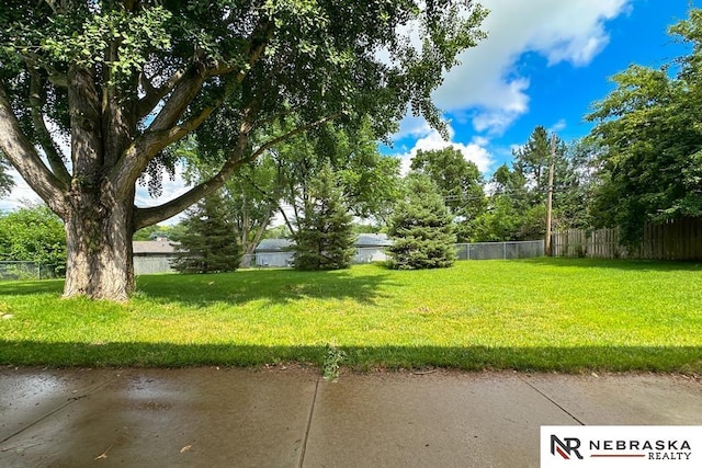 1113 S 94th St, Omaha, NE 68124 - view of yard
